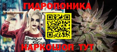 шишки Донецк